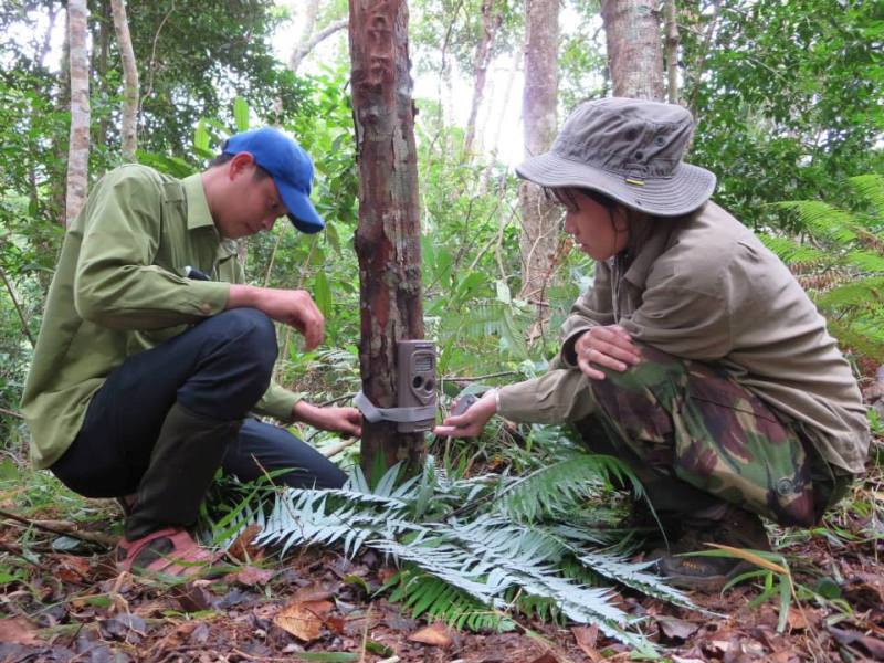 Trang Nguyen and a colleague setting up a wildlife camera trap in the forest during conservation fieldwork.